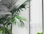 開雲集團的穩健發展歷程 - 开云xintian